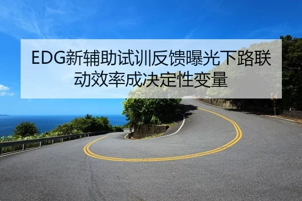 EDG新辅助试训反馈曝光下路联动效率成决定性变量
